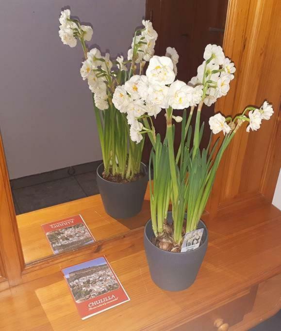Apartamento Los Narcisos Chulilla Esterno foto